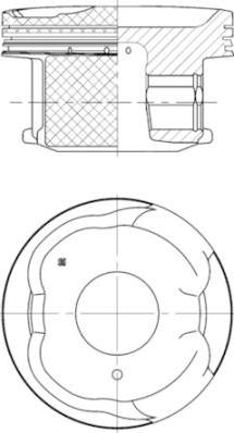 Wilmink Group WG1016755 - Поршень autocars.com.ua