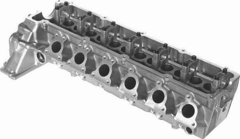 Wilmink Group WG1016782 - Головка циліндра autocars.com.ua