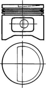 Wilmink Group WG1021982 - Ремонтний комплект, поршень / гільза циліндра autocars.com.ua