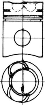 Wilmink Group WG1022139 - Поршень autocars.com.ua