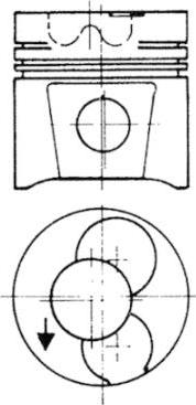 Wilmink Group WG1022571 - Поршень autocars.com.ua