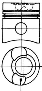 Wilmink Group WG1022853 - Поршень autocars.com.ua