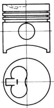 Wilmink Group WG1022934 - Поршень autocars.com.ua