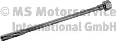 Wilmink Group WG1082893 - Болт головки циліндра autocars.com.ua