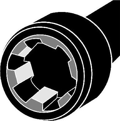 Wilmink Group WG1221277 - Комплект болтів головки циліндрів autocars.com.ua