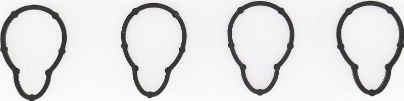 Wilmink Group WG1083846 - Прокладка, впускний колектор autocars.com.ua