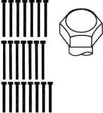 Wilmink Group WG1093181 - Комплект болтів головки циліндрів autocars.com.ua