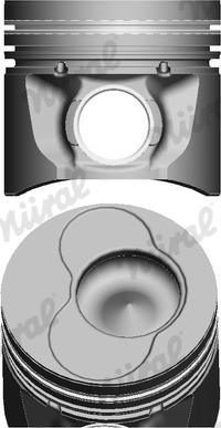 Wilmink Group WG1094038 - Поршень autodnr.net