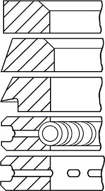 Wilmink Group WG1096545 - Комплект поршневих кілець autocars.com.ua
