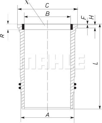 Wilmink Group WG1098245 - Гильза цилиндра autodnr.net