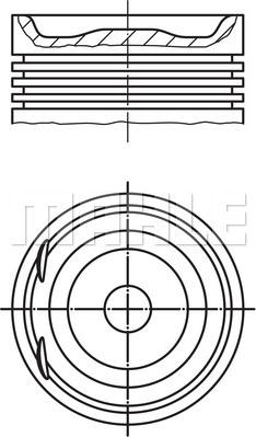 Wilmink Group WG1104262 - Поршень autocars.com.ua