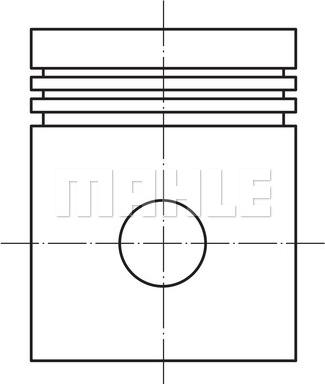 Wilmink Group WG1104304 - Поршень autodnr.net