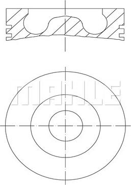 Wilmink Group WG1104317 - Поршень autocars.com.ua