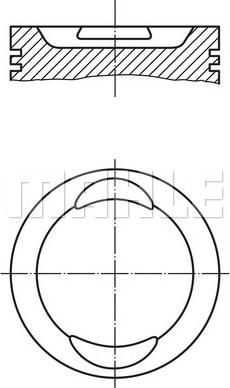 Wilmink Group WG1104365 - Поршень autocars.com.ua