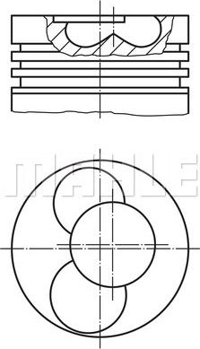 Wilmink Group WG1104388 - Поршень autodnr.net