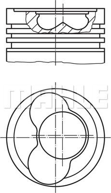 Wilmink Group WG1104415 - Поршень autodnr.net