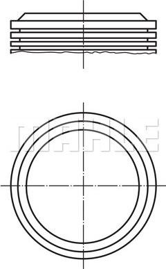 Wilmink Group WG1212838 - Поршень autocars.com.ua