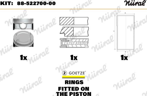 Wilmink Group WG1149907 - Ремонтний комплект, поршень / гільза циліндра autocars.com.ua