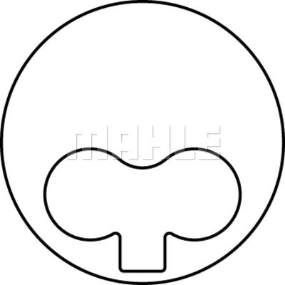 Wilmink Group WG1153873 - Поршень autocars.com.ua