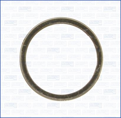 Wilmink Group WG1163681 - Кільце ущільнювача, труба вихлопного газу autocars.com.ua