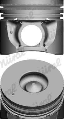 Wilmink Group WG1175101 - Поршень autocars.com.ua