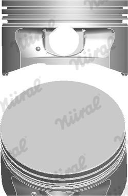 Wilmink Group WG1175111 - Поршень autocars.com.ua