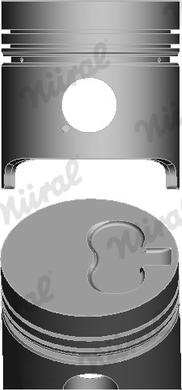 Wilmink Group WG1175695 - Поршень autocars.com.ua