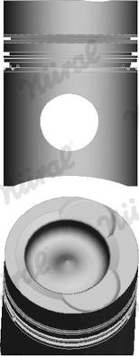 Wilmink Group WG1175761 - Поршень autocars.com.ua