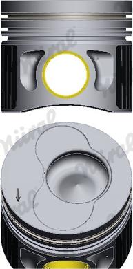 Wilmink Group WG1175856 - Поршень autocars.com.ua