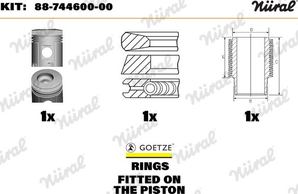 Wilmink Group WG1176364 - Ремонтний комплект, поршень / гільза циліндра autocars.com.ua