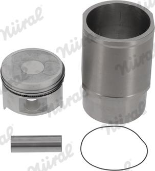 Wilmink Group WG1176412 - Ремонтний комплект, поршень / гільза циліндра autocars.com.ua