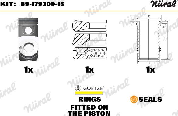 Wilmink Group WG1176422 - Ремонтний комплект, поршень / гільза циліндра autocars.com.ua