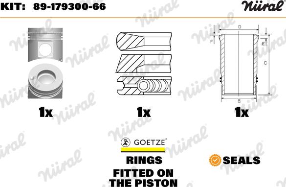 Wilmink Group WG1176433 - Ремонтний комплект, поршень / гільза циліндра autocars.com.ua