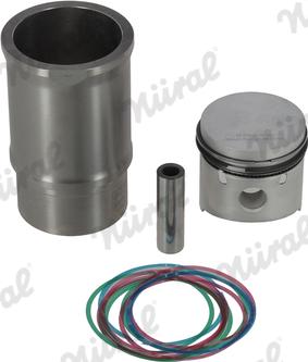 Wilmink Group WG1176469 - Ремонтний комплект, поршень / гільза циліндра autocars.com.ua