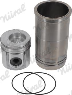 Wilmink Group WG1176509 - Ремонтний комплект, поршень / гільза циліндра autocars.com.ua