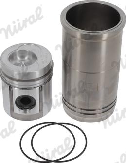 Wilmink Group WG1176513 - Ремонтний комплект, поршень / гільза циліндра autocars.com.ua