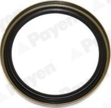 Wilmink Group WG1184133 - Ущільнююче кільце, сальник, маточина колеса autocars.com.ua