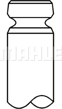 Wilmink Group WG1201890 - Впускний клапан autocars.com.ua