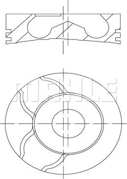 Wilmink Group WG1202133 - Поршень autocars.com.ua