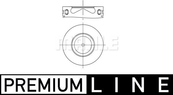 Wilmink Group WG1212389 - Поршень autocars.com.ua