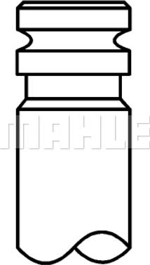 Wilmink Group WG1212628 - Впускний клапан autocars.com.ua