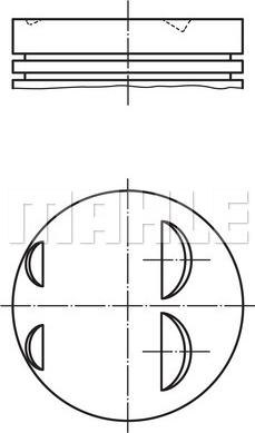 Wilmink Group WG1213443 - Поршень autocars.com.ua