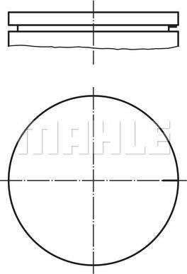 Wilmink Group WG1213456 - Поршень autocars.com.ua