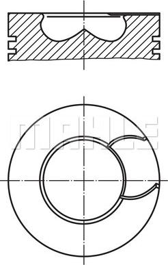 Wilmink Group WG1213882 - Поршень autodnr.net