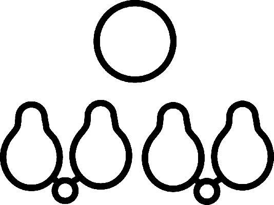 Wilmink Group WG1221316 - Прокладка, впускний колектор autocars.com.ua