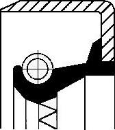 Wilmink Group WG1223059 - Ущільнене кільце, диференціал autocars.com.ua