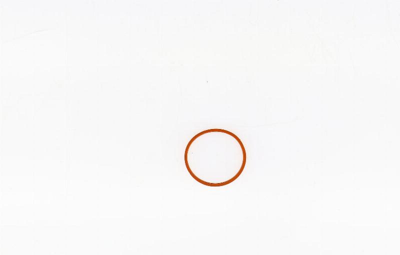 Wilmink Group WG1231898 - Прокладка, впускний колектор autocars.com.ua