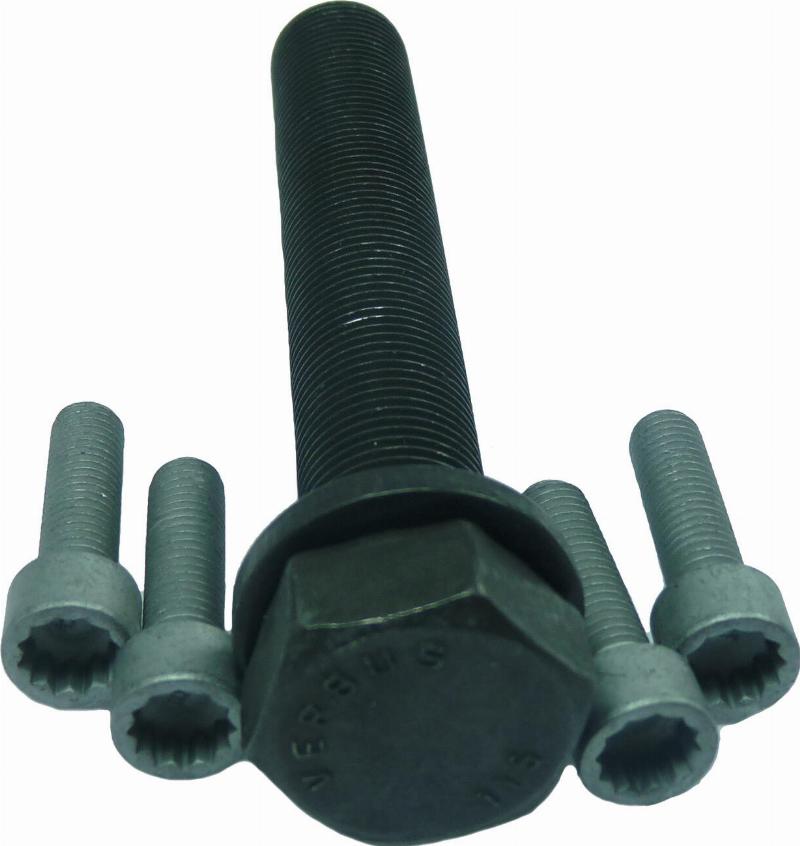 Wilmink Group WG1233962 - Комплект болтів, ремінний шків - колінчастий вал autocars.com.ua