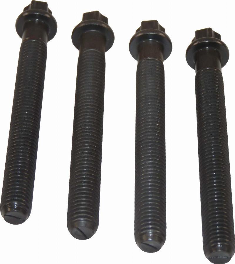 Wilmink Group WG1234537 - Комплект болтів, ремінний шків - колінчастий вал autocars.com.ua