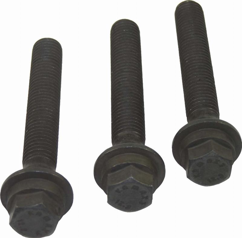 Wilmink Group WG1234541 - Комплект болтів, ремінний шків - колінчастий вал autocars.com.ua